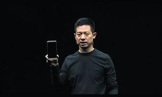 贾跃亭的背景,贾跃亭的跌宕人生