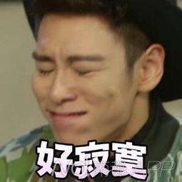 bigbang表情包搞笑,BigBang表情包搞笑大盘点