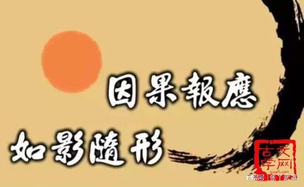 恶有恶报的图片