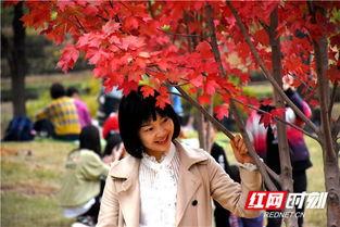百万网红啊枫照片,镜头下的时尚魅力与生活态度